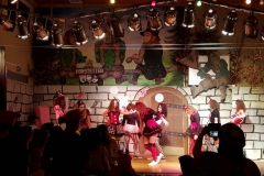 Sportlerball Honstetten 004