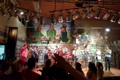 Sportlerball Honstetten 006