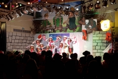 Zunftabend Honstetten016